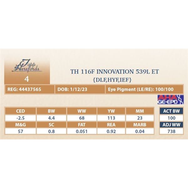 TH 116F INNOVATION 539L ET