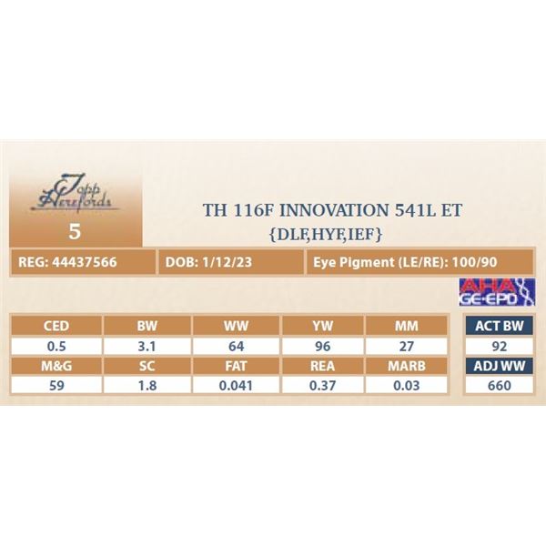 TH 116F INNOVATION 541L