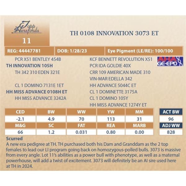 TH 0108 INNOVATION 3073 ET