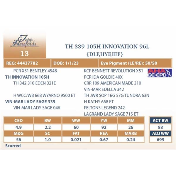 TH 339 105H INNOVATION 96L