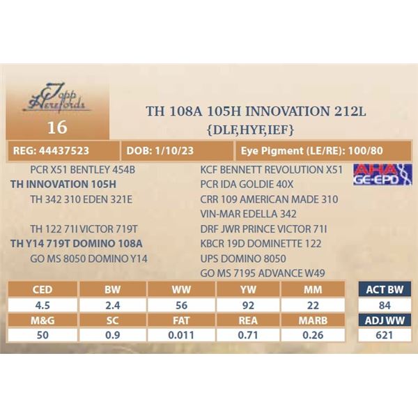 TH 108A 105H INNOVATION 212L