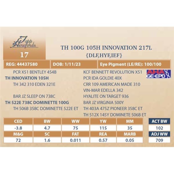 TH 100G 105H INNOVATION 217L