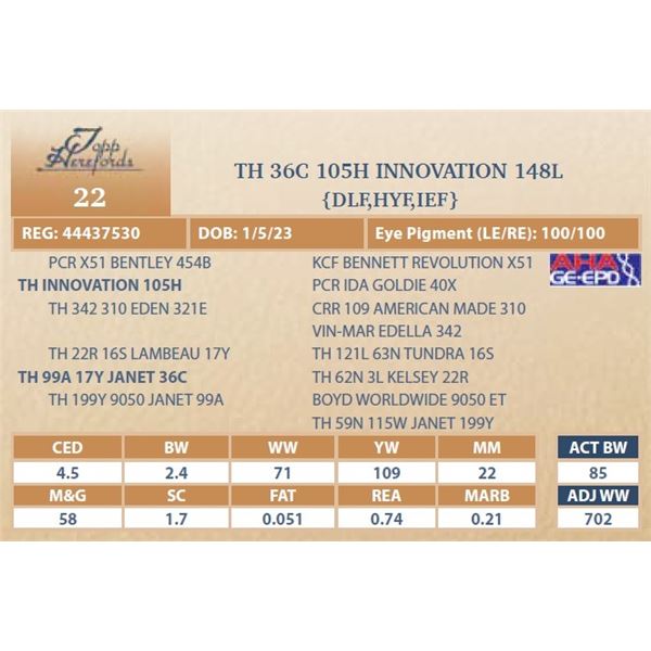 TH 36C 105H INNOVATION 148L