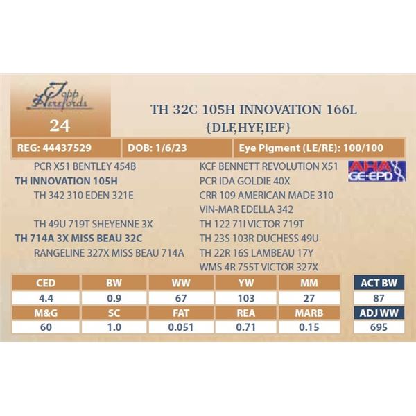 TH 32C 105H INNOVATION 166L