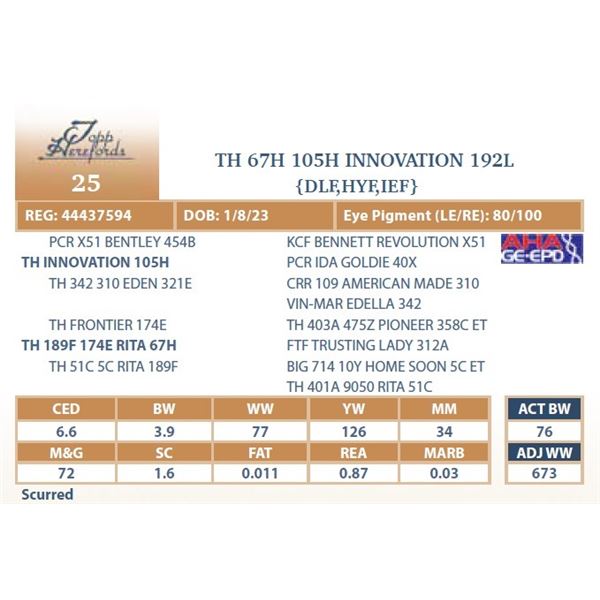 TH 67H 105H INNOVATION 192L