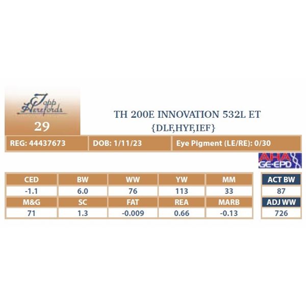 TH 200E INNOVATION 532L ET