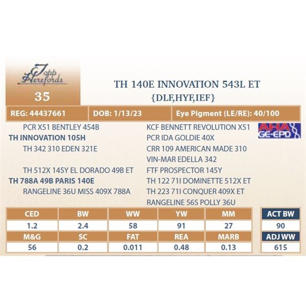 TH 140E INNOVATION 543L ET