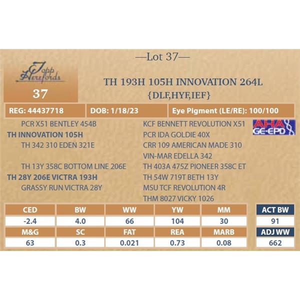 TH 193H 105H INNOVATION 264L