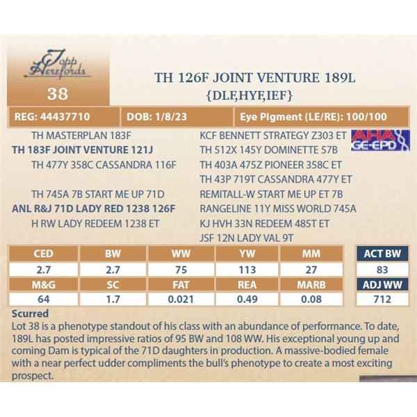 TH 126F JOINT VENTURE 189L