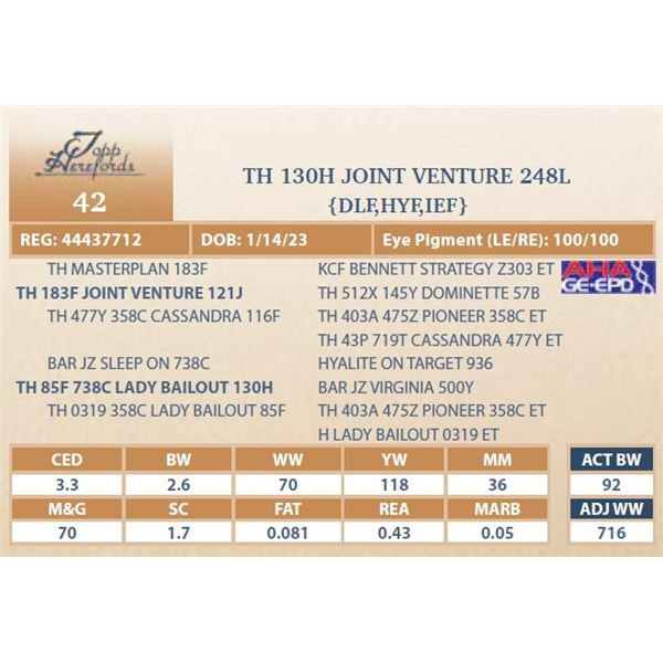 TH 130H JOINT VENTURE 248L