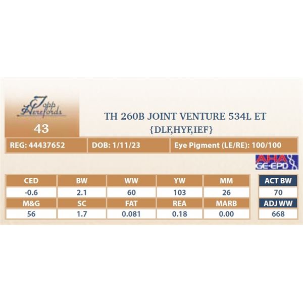 TH 260B JOINT VENTURE 534L ET