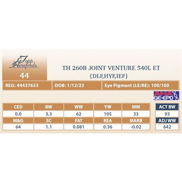 TH 260B JOINT VENTURE 540L ET