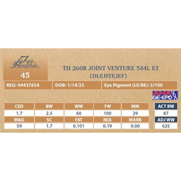 TH 260B JOINT VENTURE 544L ET