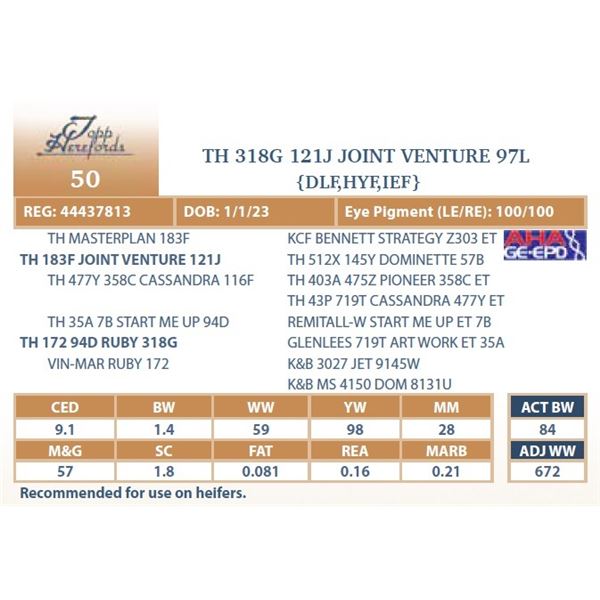 TH 318G 121J JOINT VENTURE 97L