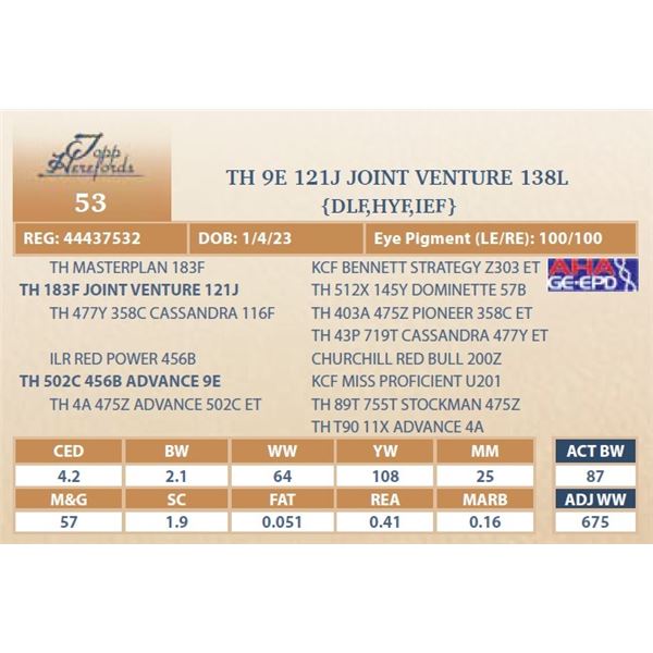 TH 9E 121J JOINT VENTURE 138L