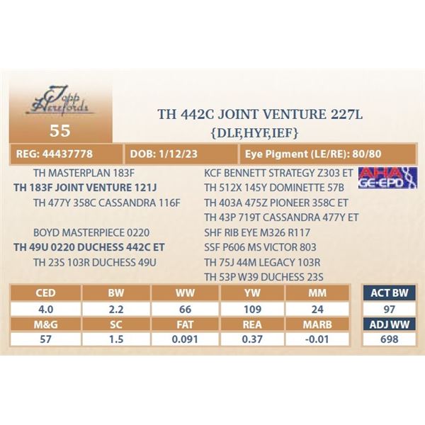 TH 442C JOINT VENTURE 227L