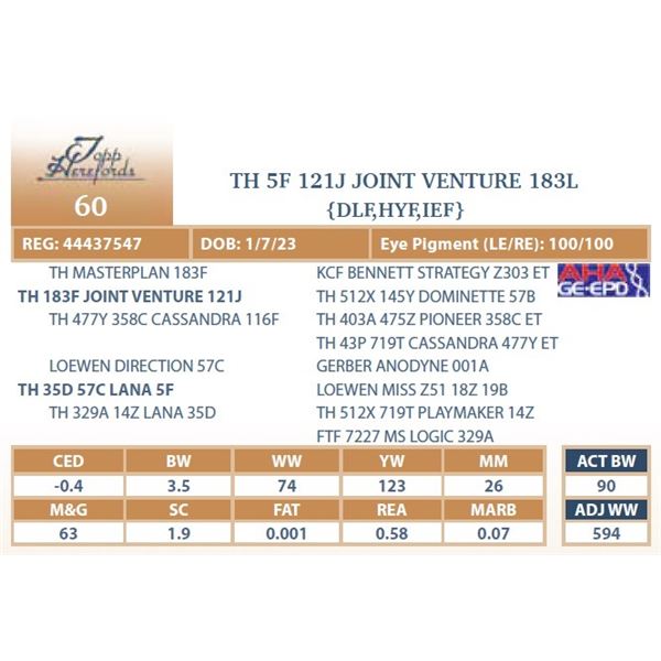 TH 5F 121J JOINT VENTURE 183L