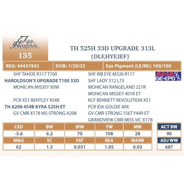 TH 525H 33D UPGRADE 313L