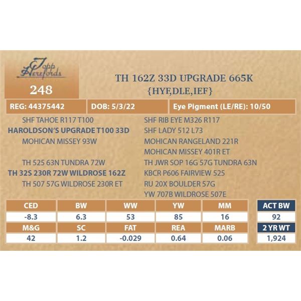 TH 162Z 33D UPGRADE 665K