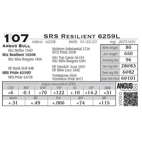 SRS Resilient 6259L