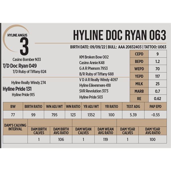 Hyline Doc Ryan 063