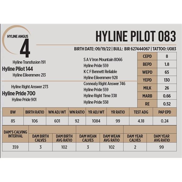 Hyline Pilot 083