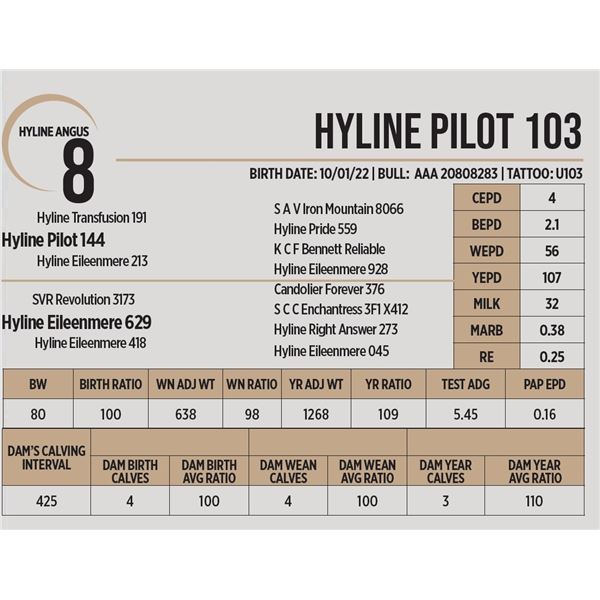 Hyline Pilot 103