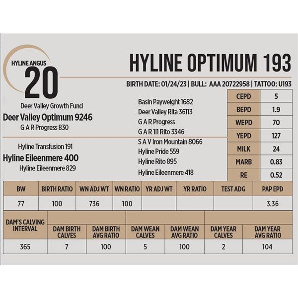 Hyline Optimum 193