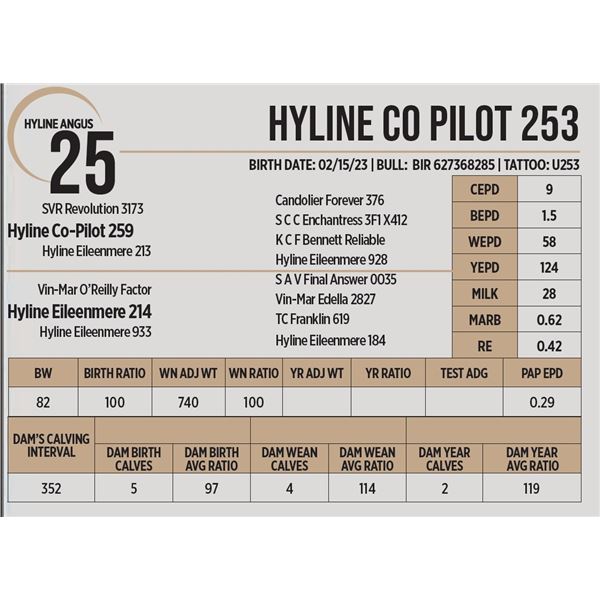 Hyline Copilot 253