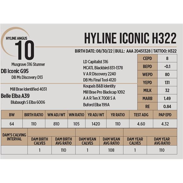 Hyline Iconic 322