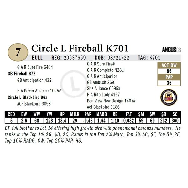 Circle L Fireball K701