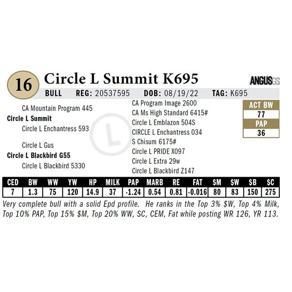 Circle L Summit K695