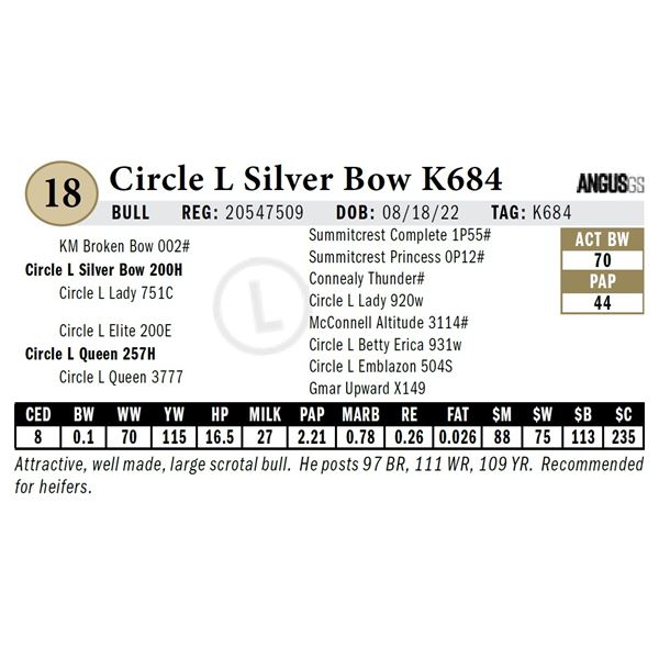 Circle L Silver Bow K684