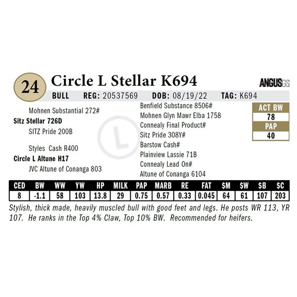 Circle L Stellar K694