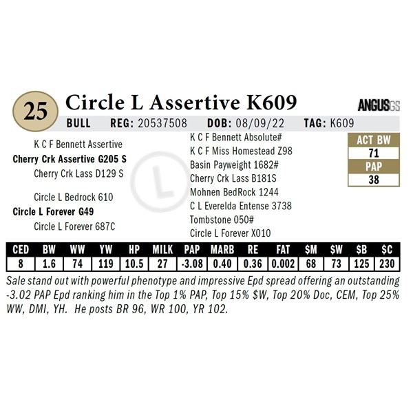 Circle L Assertive K609