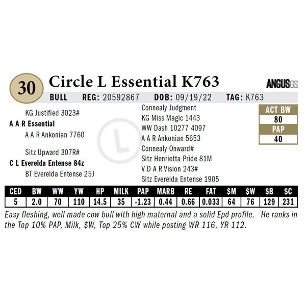 Circle L Essential K763