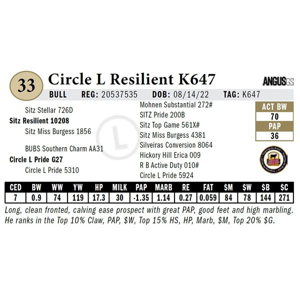 Circle L Resilient K647