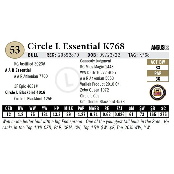 Circle L Essential K768