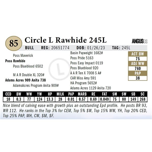 Circle L Rawhide 245L