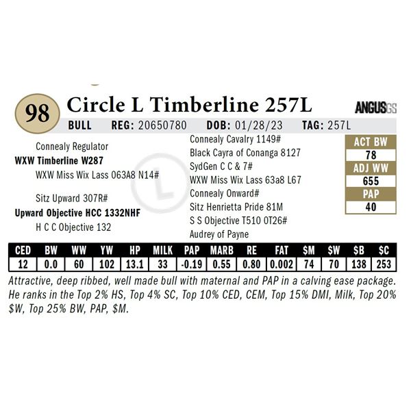 Circle L Timberline 257L