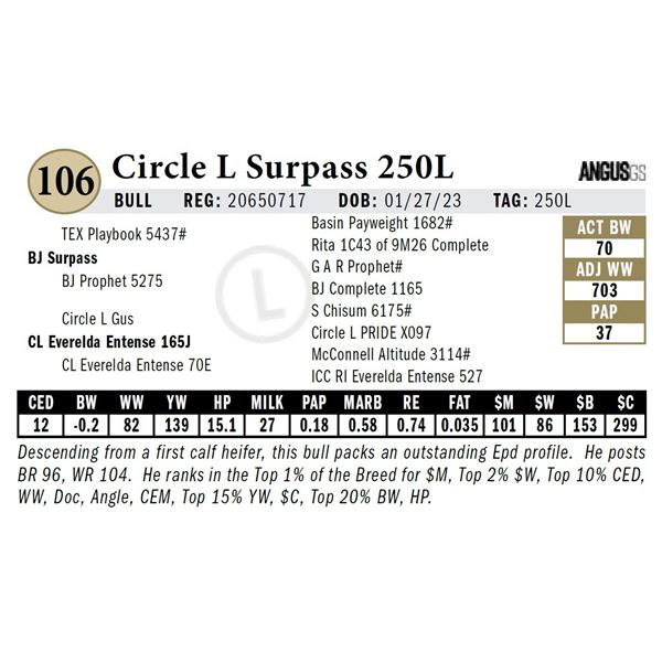 Circle L Surpass 250L