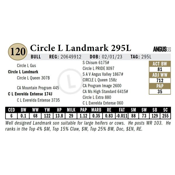 Circle L Landmark 295L