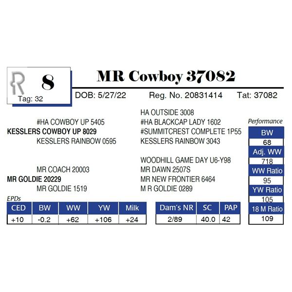 MR Cowboy 37082