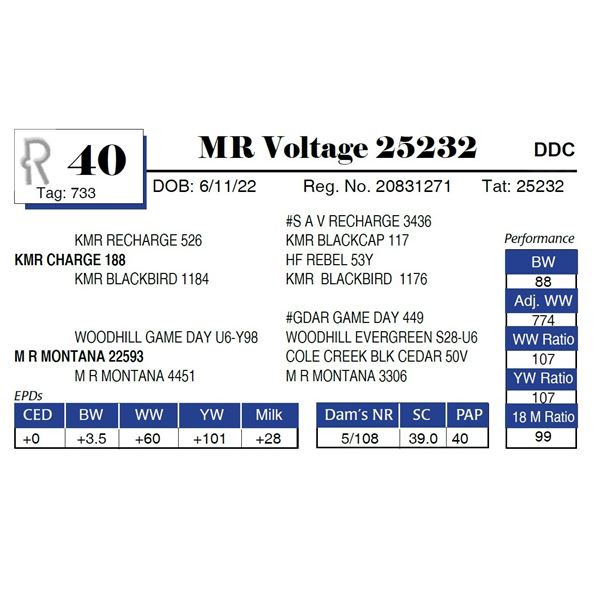 MR Voltage 25232