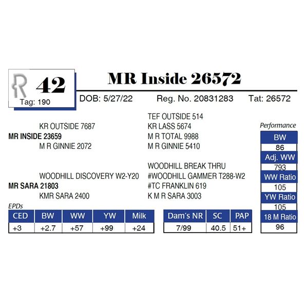 MR Inside 26572