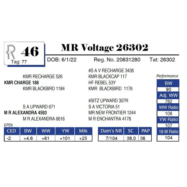 MR Voltage 26302