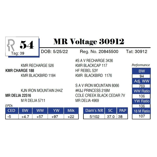 MR Voltage 30912