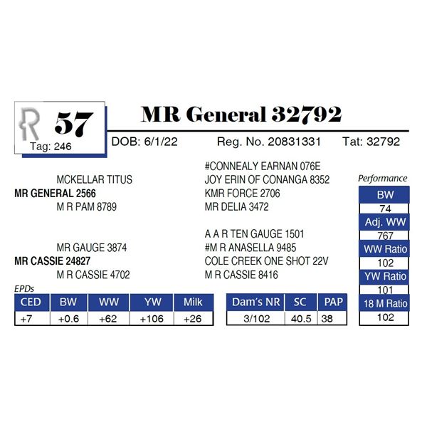 MR General 32792