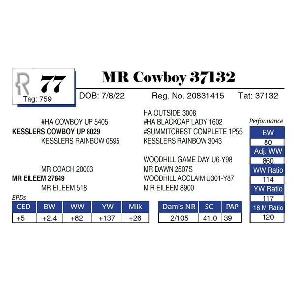 MR Cowboy 37132