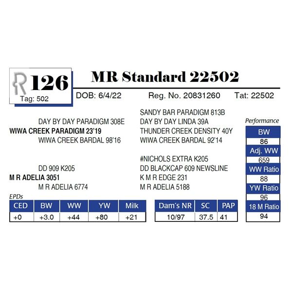 MR Bonus 32962